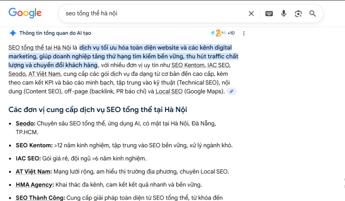 seo tổng thể hà nội